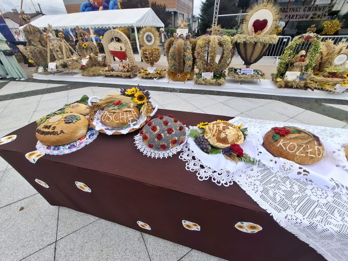 Miniaturka artykułu Dożynki Gminne w Parysowie