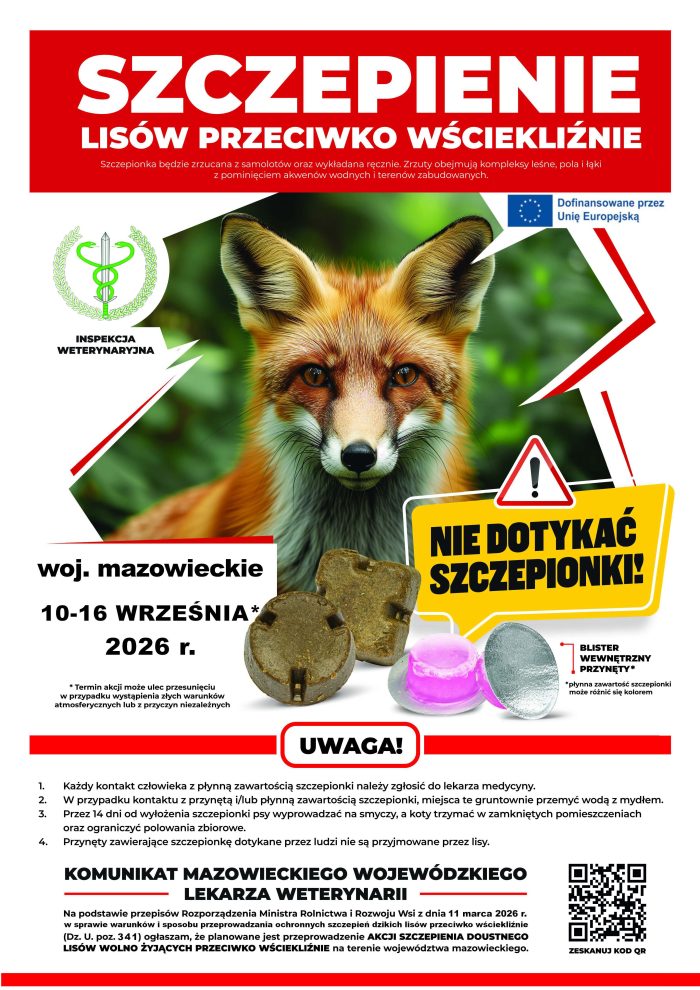 Miniaturka artykułu Szczepienie lisów przeciwko wściekliźnie – wrzesień 2026