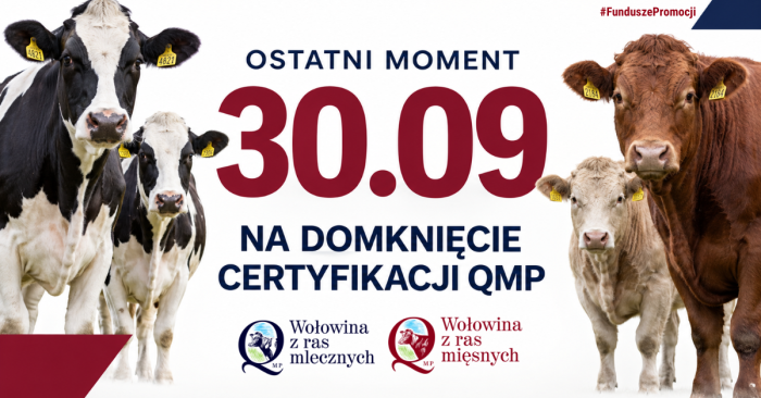 Miniaturka artykułu Certyfikat QMP: ważny termin dla hodowców bydła